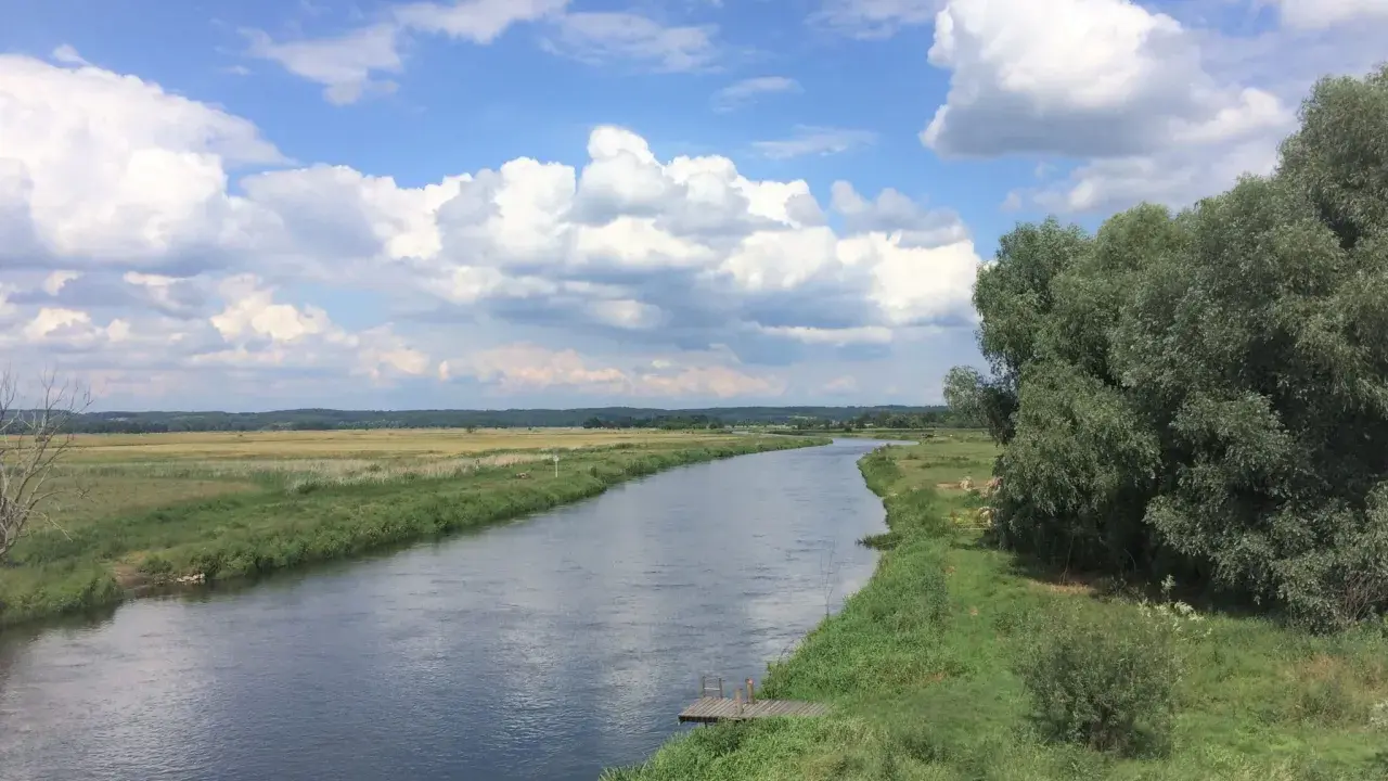 Szeroka rzeka płynie przez zielone łąki i lasy. Na brzegu widać drewniany pomost. To piękny krajobraz Puszczy Noteckiej.