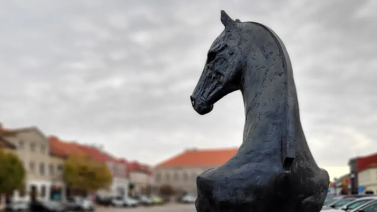 Czarny, metalowy pomnik konia w Koninie, z widokiem na zabytkowe kamienice i samochody.