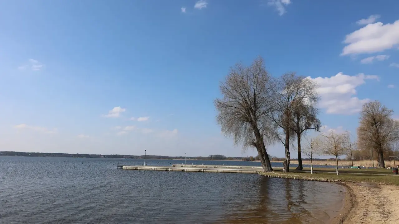 Spokojne jezioro w Zbąszyniu, z piaszczystą plażą i pomostem. Drzewa bez liści tworzą malowniczy krajobraz.