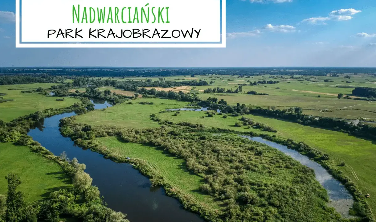 Malowniczy krajobraz z krętą rzeką i zielonymi łąkami. To piękny **nadwarciański park krajobrazowy**, idealny na spokojny wypoczynek.