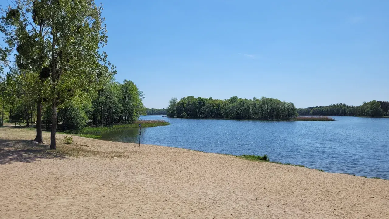 Piękny dzień nad jeziorem w Wielkopolsce. Piaszczysta plaża, spokojna woda i zielone drzewa tworzą idealne miejsce na wypoczynek.