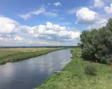 Szeroka rzeka płynie przez zielone łąki i lasy. Na brzegu widać drewniany pomost. To piękny krajobraz Puszczy Noteckiej.