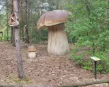 Wronki atrakcje: gigantyczne grzyby w lesie, domki dla owadów i tablice informacyjne.