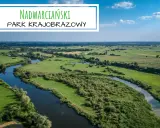 Malowniczy krajobraz z krętą rzeką i zielonymi łąkami. To piękny **nadwarciański park krajobrazowy**, idealny na spokojny wypoczynek.