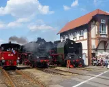 Parada parowozów z parą unoszącą się w powietrzu. Trzy lokomotywy stoją na torach obok ceglanego budynku stacji, a tłum widzów obserwuje wydarzenie.