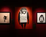 Wystawa w Poznaniu prezentuje prace Banksy'ego. Trzy obrazy z małpami, w tym słynne "Laugh now, but one day we'll be in charge".