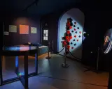 W muzeum iluzji Poznań zobaczysz obrazy optyczne, iluzje 3D z kartami do gry i zakrzywione lustro.