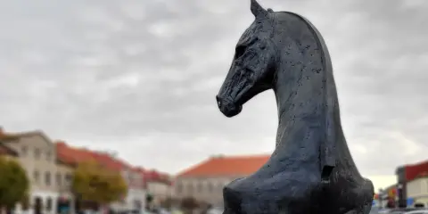 Czarny, metalowy pomnik konia w Koninie, z widokiem na zabytkowe kamienice i samochody.