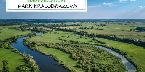 Malowniczy krajobraz z krętą rzeką i zielonymi łąkami. To piękny **nadwarciański park krajobrazowy**, idealny na spokojny wypoczynek.