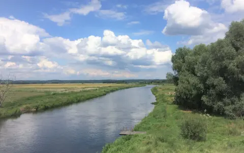 Szeroka rzeka płynie przez zielone łąki i lasy. Na brzegu widać drewniany pomost. To piękny krajobraz Puszczy Noteckiej.