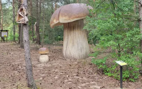 Wronki atrakcje: gigantyczne grzyby w lesie, domki dla owadów i tablice informacyjne.