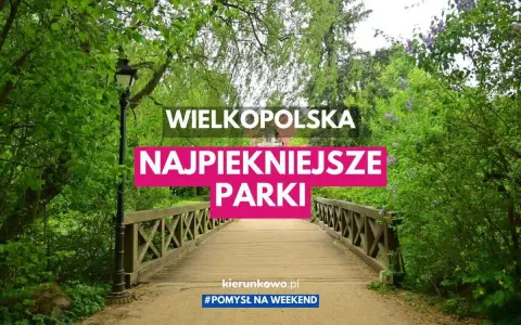 Drewniany mostek prowadzi przez zielony park w Wielkopolsce. Odkryj najpiękniejsze parki krajobrazowe w Wielkopolsce na weekendowy wypad.