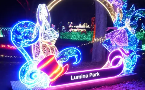Magiczne iluminacje w Lumina Park Poznań: bajkowe króliki i tańczące światła tworzą niezwykłą atmosferę.