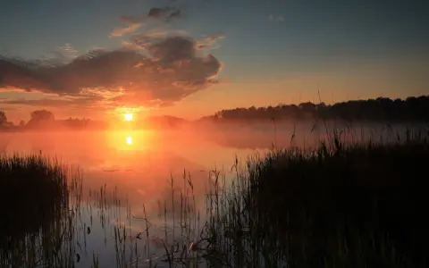 Mglisty wschód słońca nad jeziorem, idealne miejsce na weekendowy relaks.