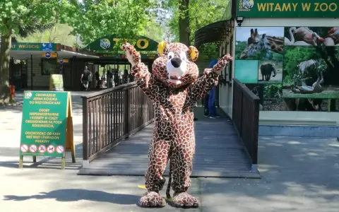 Pluszowy żyrafa wita gości w poznańskim zoo. Wesoła poznańska majówka w towarzystwie zwierząt.