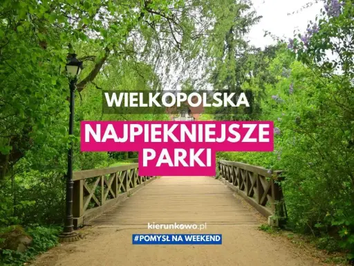 Drewniany mostek prowadzi przez zielony park w Wielkopolsce. Odkryj najpiękniejsze parki krajobrazowe w Wielkopolsce na weekendowy wypad.