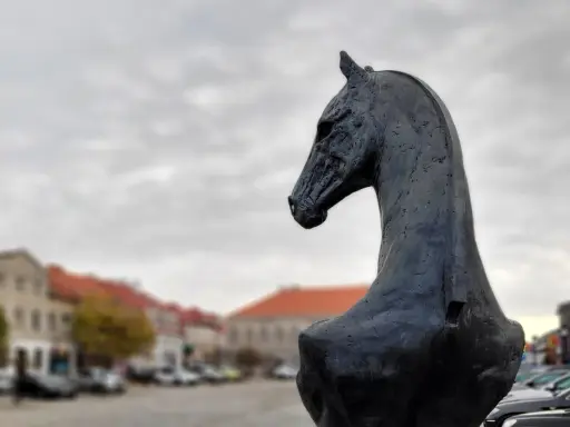 Czarny, metalowy pomnik konia w Koninie, z widokiem na zabytkowe kamienice i samochody.