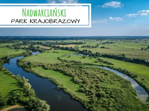 Malowniczy krajobraz z krętą rzeką i zielonymi łąkami. To piękny **nadwarciański park krajobrazowy**, idealny na spokojny wypoczynek.