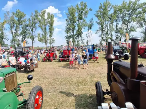 Festiwal starych ciągników i maszyn rolniczych. Tłumy ludzi podziwiają zabytkowe maszyny na trawiastym polu, w tle drzewa i błękitne niebo.