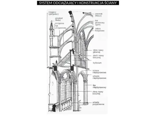 Przekrój gotyckiej katedry ukazujący system odciążający: łuki przyporowe, żebra krzyżowe i inne cechy charakterystyczne stylu gotyckiego.
