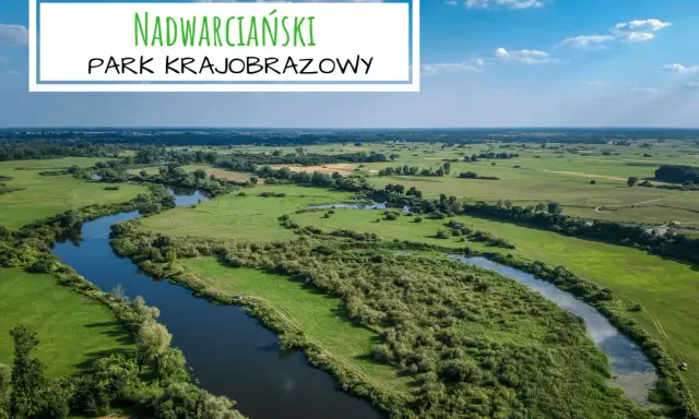 Malowniczy krajobraz z krętą rzeką i zielonymi łąkami. To piękny **nadwarciański park krajobrazowy**, idealny na spokojny wypoczynek.