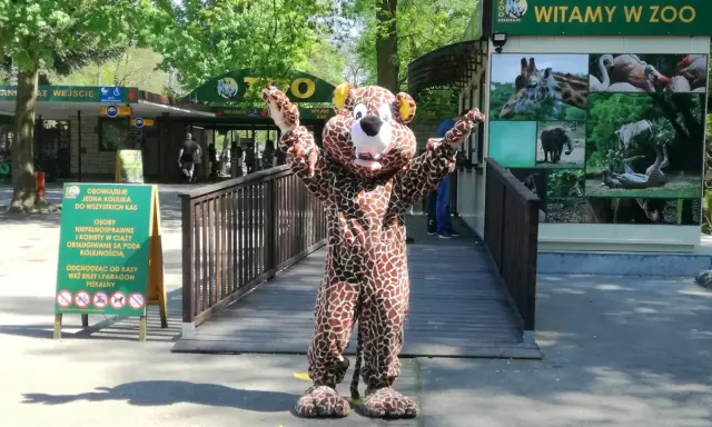 Pluszowy żyrafa wita gości w poznańskim zoo. Wesoła poznańska majówka w towarzystwie zwierząt.