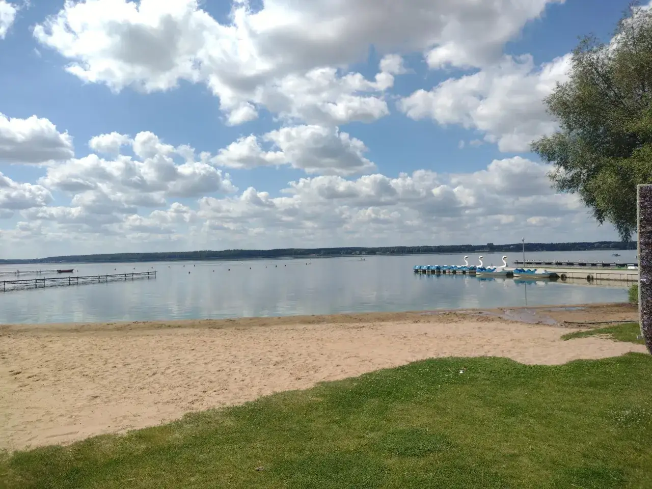 Piękny dzień nad jeziorem w Zbąszyniu. Łódki w kształcie łabędzi czekają na wodzie, a plaża zaprasza do odpoczynku.