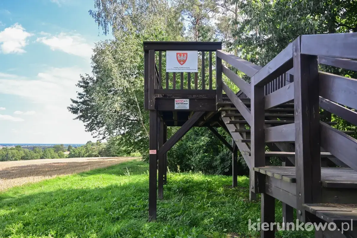 Drewniana wieża widokowa z tablicą informacyjną, otoczona zielenią, z widokiem na pola i lasy. To idealne miejsce na podziwianie krajobrazów szwajcarii żerkowskiej.