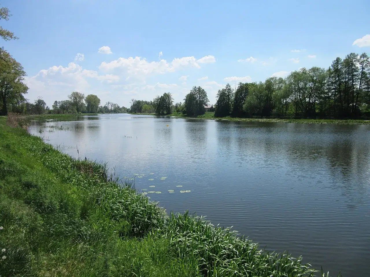 Spokojna rzeka Prosna otoczona zielenią, z odbijającymi się w wodzie chmurami na błękitnym niebie.