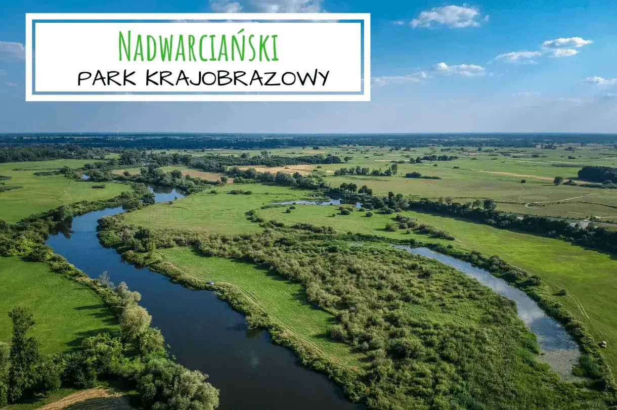 Malowniczy krajobraz Nadwarciańskiego Parku Krajobrazowego w Wielkopolsce. Kręta rzeka wśród zielonych łąk i zarośli.