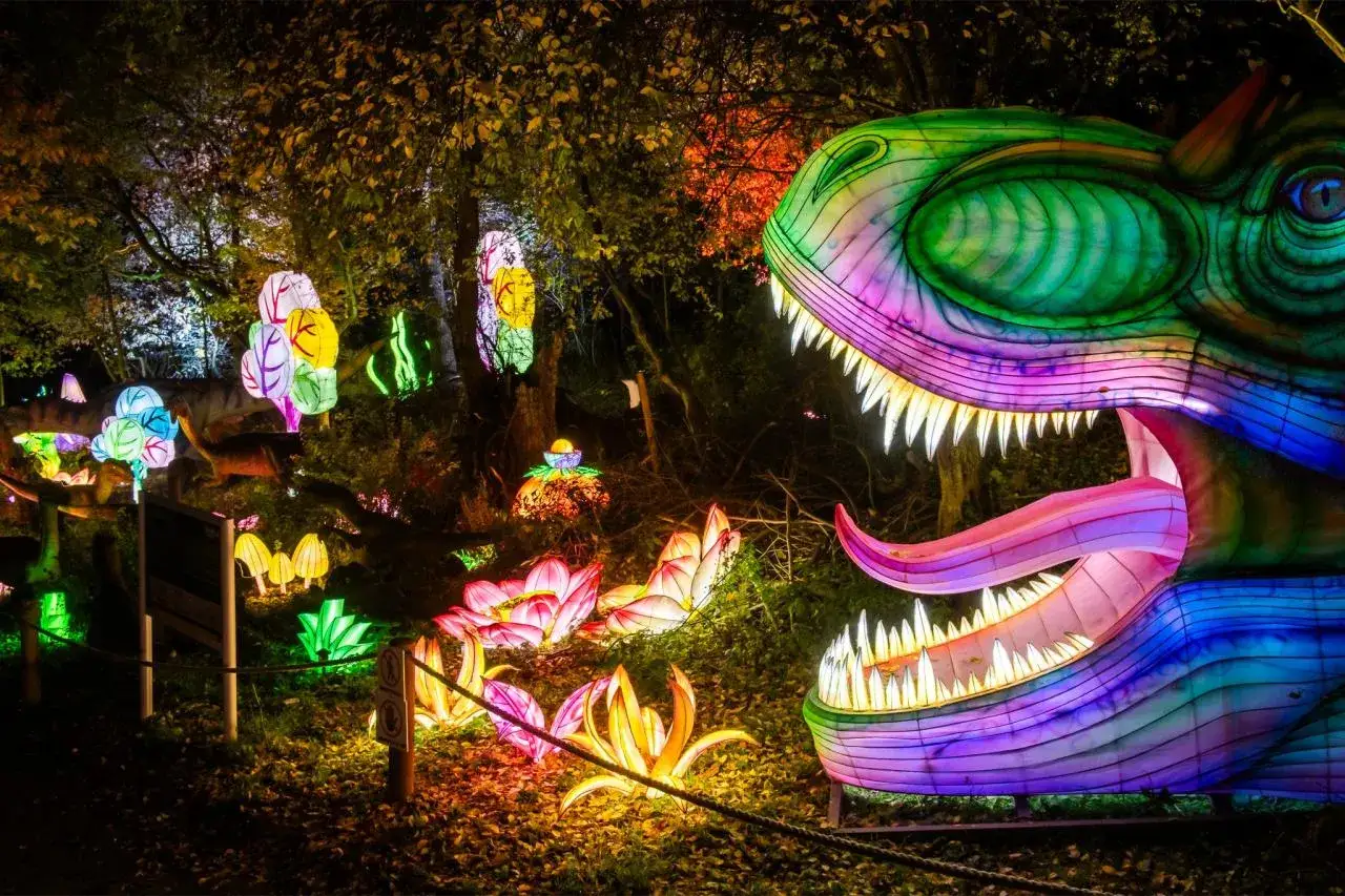 Kolorowy dinozaur i świetlne kwiaty w Lumina Park Poznań. Nocna, magiczna iluminacja.