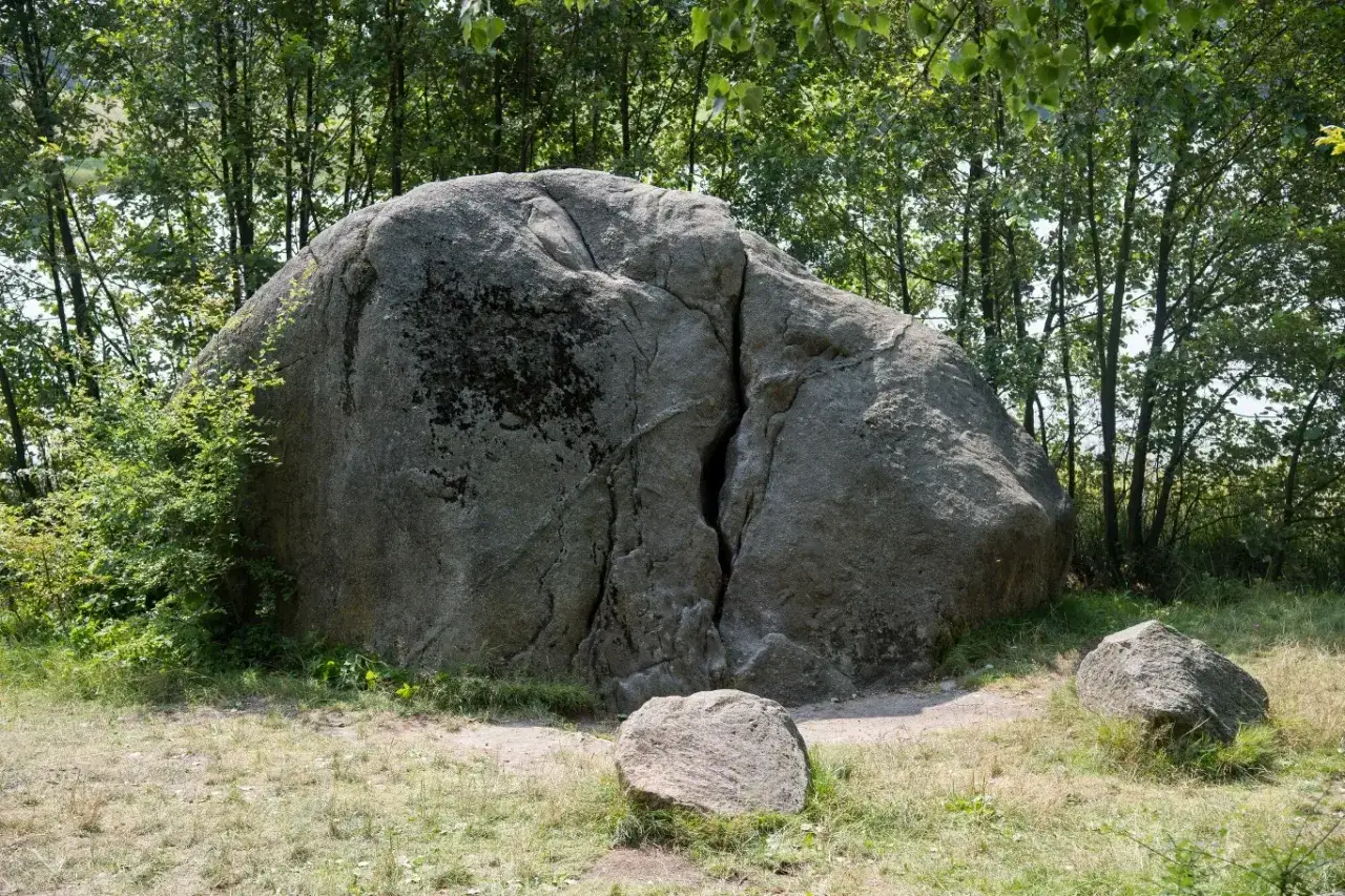 Ogromny głaz narzutowy, pęknięty i porośnięty mchem, stoi pośr&oacute;d drzew. Obok mniejsze kamienie.