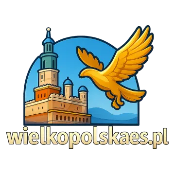 Logo wielkopolskaes.pl