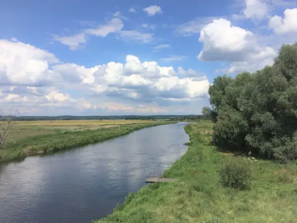 Szeroka rzeka płynie przez zielone łąki i lasy. Na brzegu widać drewniany pomost. To piękny krajobraz Puszczy Noteckiej.